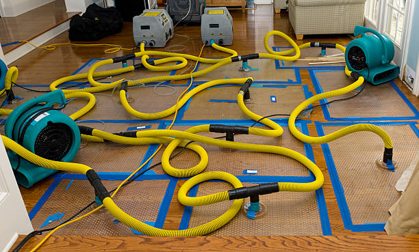 Professional Structural Drying And Dehumidification technician working in Windsor, OH